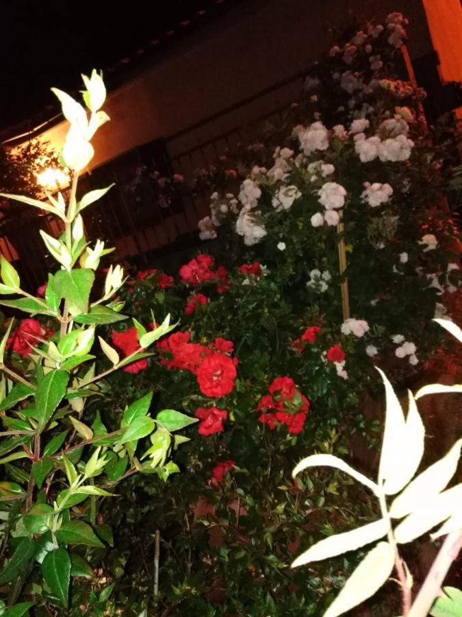 La Fenice Montefiascone Eksteriør bilde