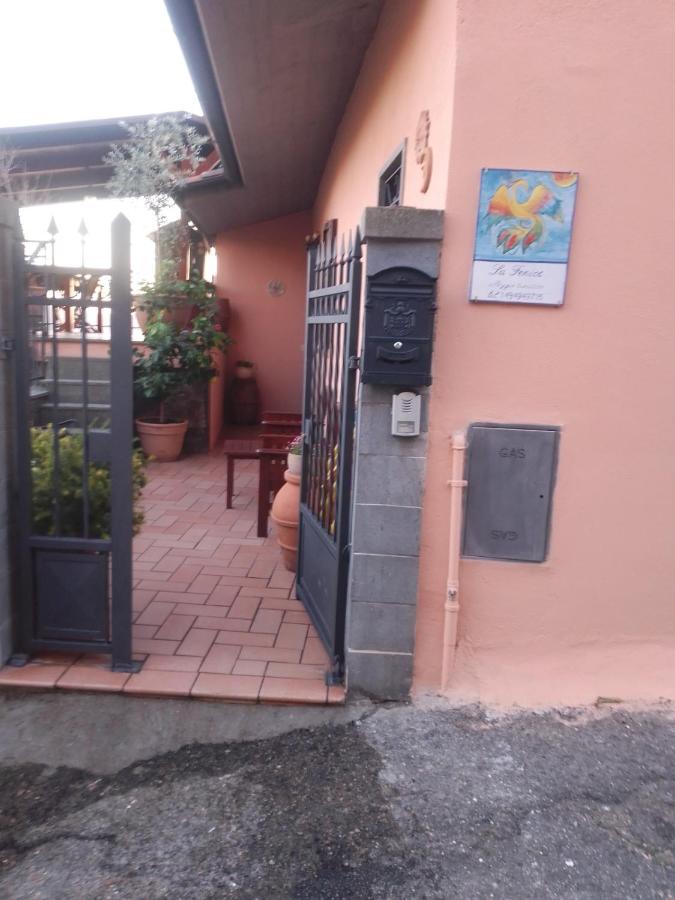 La Fenice Montefiascone Eksteriør bilde