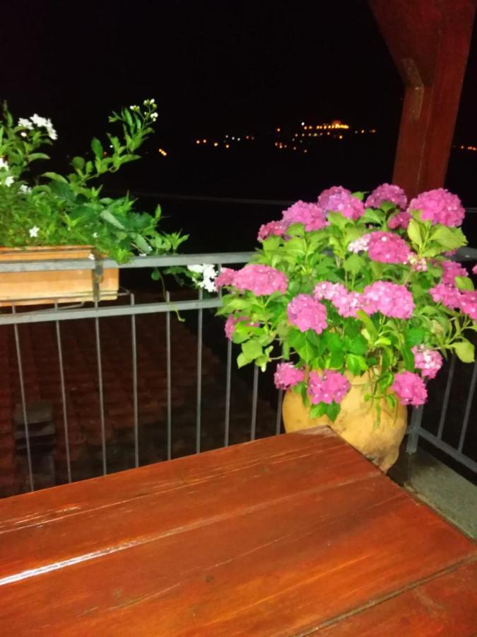 La Fenice Montefiascone Eksteriør bilde