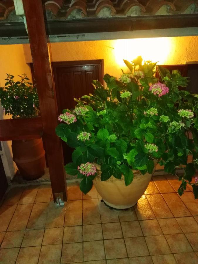 La Fenice Montefiascone Eksteriør bilde