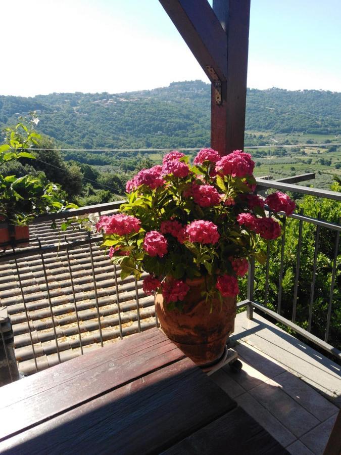 La Fenice Montefiascone Eksteriør bilde