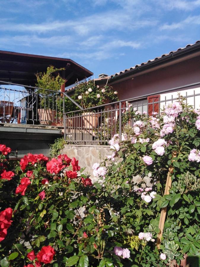 La Fenice Montefiascone Eksteriør bilde