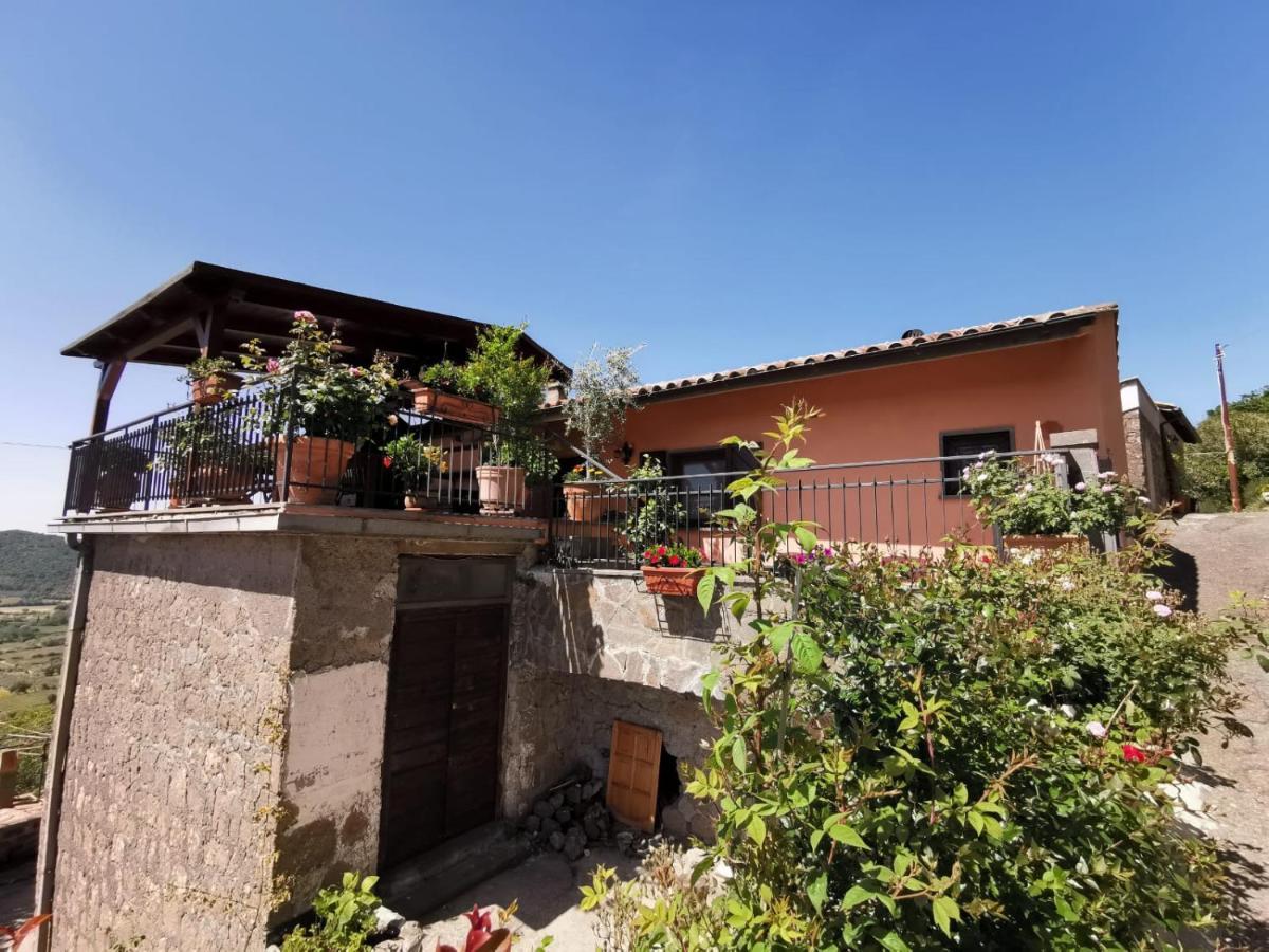 La Fenice Montefiascone Eksteriør bilde