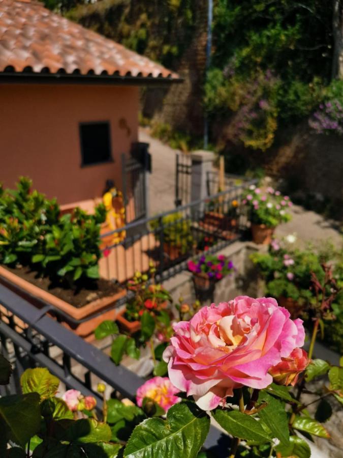 La Fenice Montefiascone Eksteriør bilde