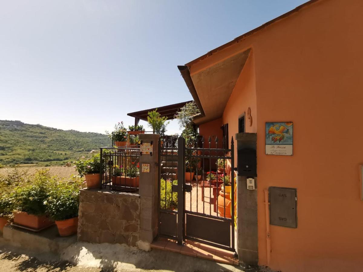 La Fenice Montefiascone Eksteriør bilde