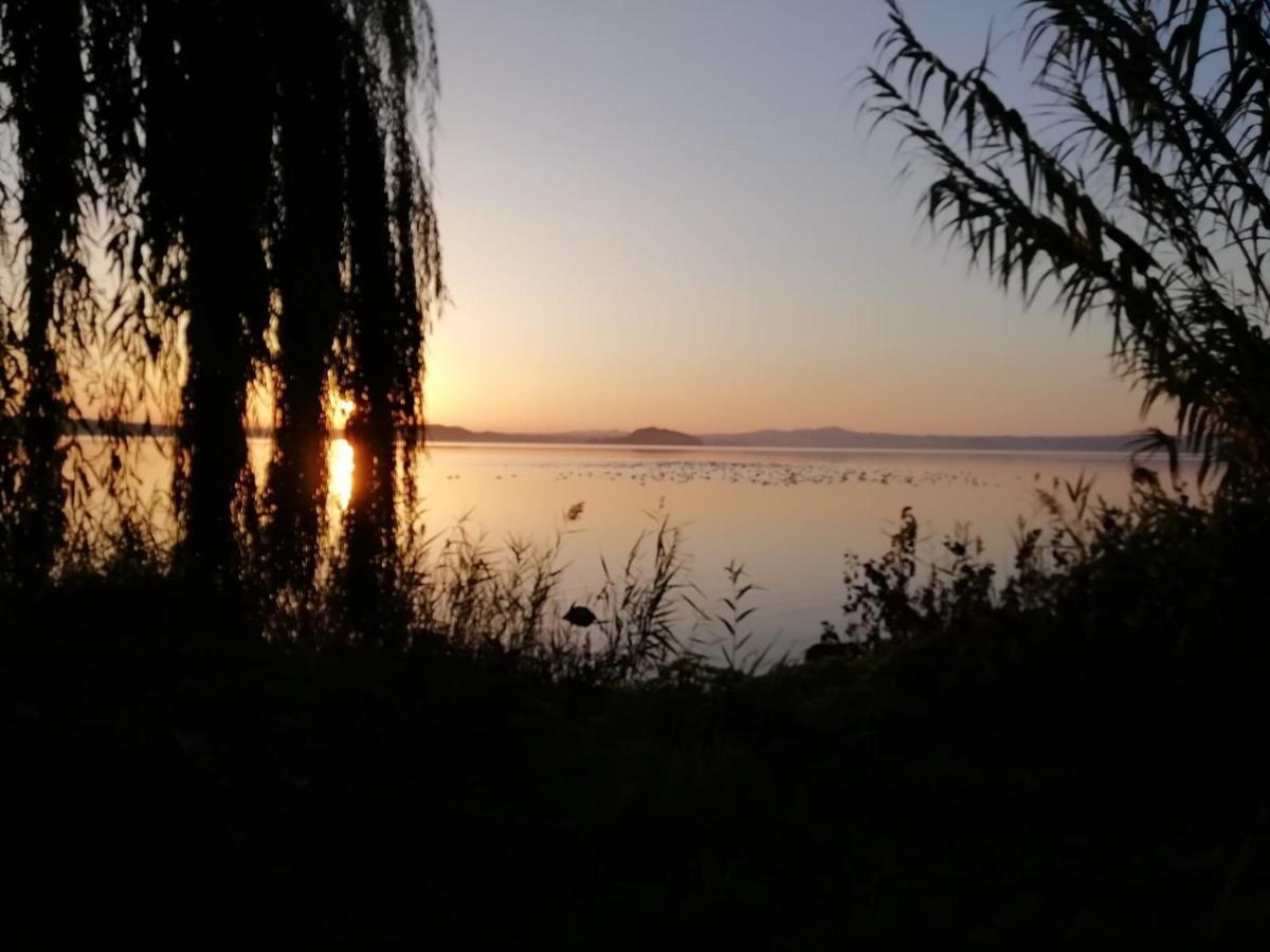 La Fenice Montefiascone Eksteriør bilde