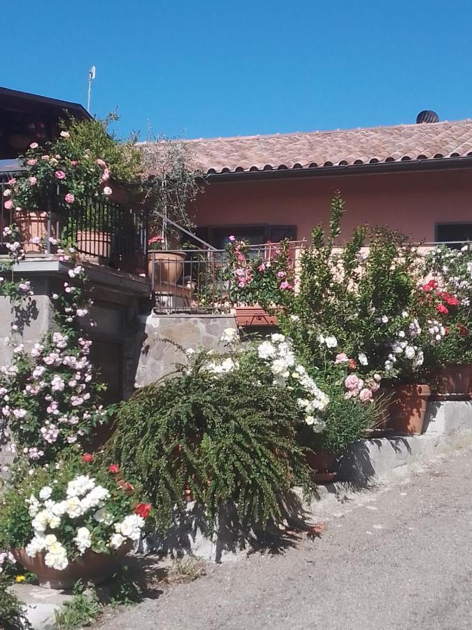 La Fenice Montefiascone Eksteriør bilde