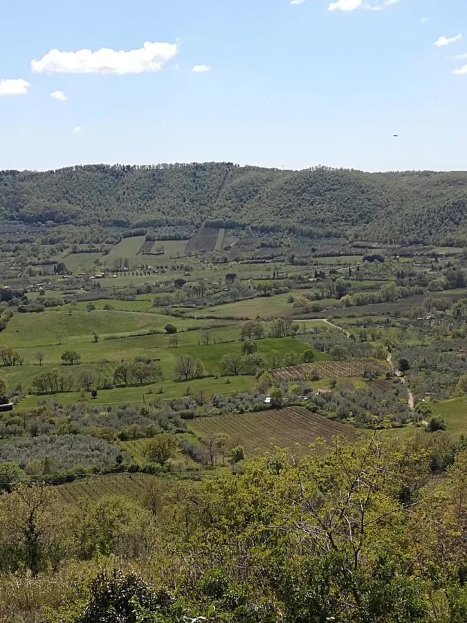 La Fenice Montefiascone Eksteriør bilde